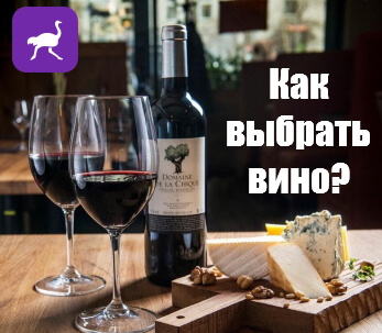 Как выбрать хорошее вино